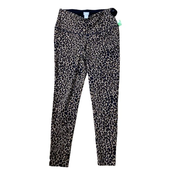 Animal Print Pants Leggings Chicos, Size 0 Fashion