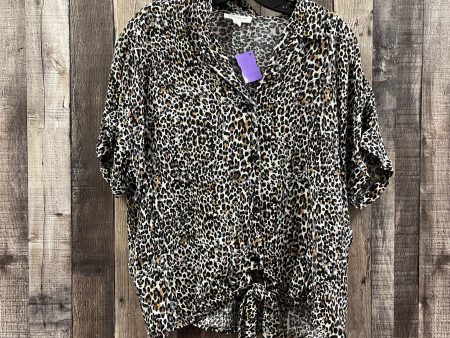 Animal Print Top Short Sleeve Beachlunchlounge, Size L on Sale